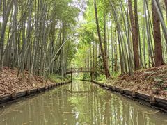 -同里国家湿地公园