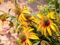 -第101座花园餐厅(湖滨88店)