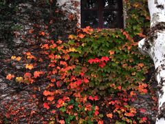 -北山街历史文化街区