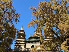 -北京石刻艺术博物馆(五塔寺)