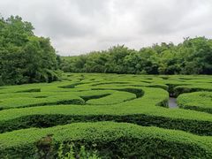 -大屏嶂森林公园