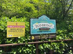 -济州森林小火车生态公园