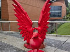 -重庆际华园室内极限运动中心