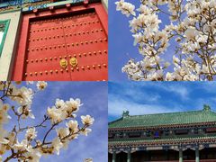 -国家图书馆·古籍馆