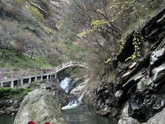 -少华山国家森林公园