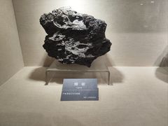 -安徽省地质博物馆