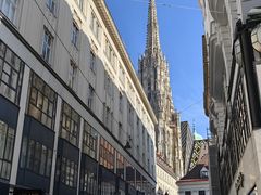 -斯蒂芬主教座堂(Stephansdom)