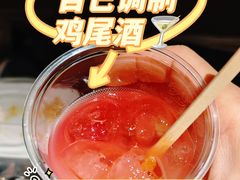 -新加坡航空公司(ION)