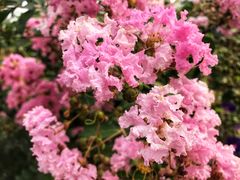 -中家鑫园温泉酒店鑫悦汤泉