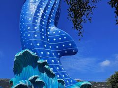 -珠海长隆海洋王国
