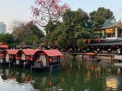 -侨美·唐荔园·40年地道粤菜