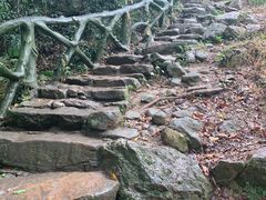 -梧桐山风景名胜区