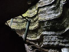-梦幻奥陶纪景区