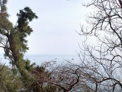 -大连金石滩滨海国家地质公园