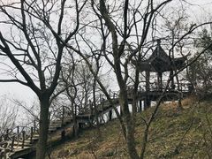 -南京市江宁方山