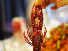 香辣龙虾-虾铺子龙虾·私房菜(金源花苑店)