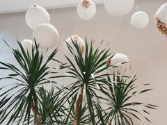 -花十悦·鲜花咖啡餐厅(振业城一期店)