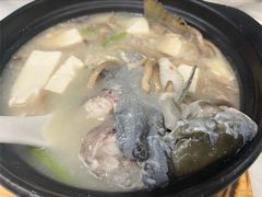 -洪平血旺椒麻鸡雅鱼饭店(熊猫大道店)