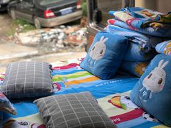 -上海旅游集散中心(万体站)