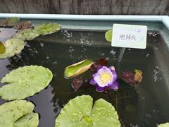 -钱王祠