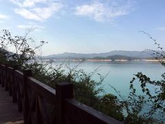 -广州市流溪河国家森林公园