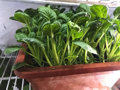 -东椰·海南椰子鸡火锅(朝阳门店)