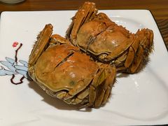 -呼吸森林·生态农庄农家乐私房菜