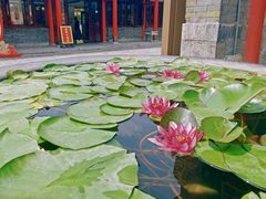 -慈恩寺