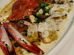 -东钱湖旅游度假区