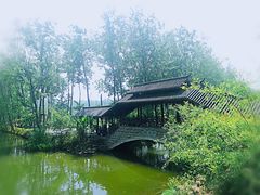 -合肥滨湖国家森林公园