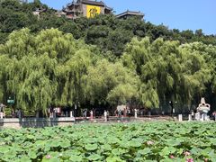 -北山公园