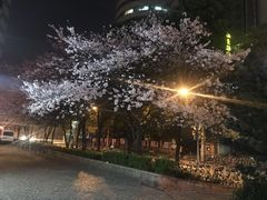 -玛格萝妮比萨屋(四平店)