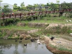 -泉州海丝野生动物世界