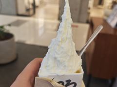 -野人先生Gelato(上海长宁龙之梦店)