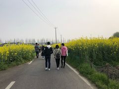 -大莲湖农家乐(青西郊野公园店)