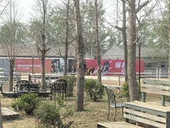 -北京群众马术培训基地