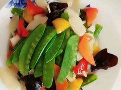 -爱月宝月嫂·育儿嫂(哈尔滨总店)