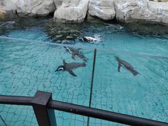 -上海野生动物园