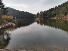 -四明山国家森林公园