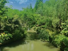 -绍兴镜湖国家城市湿地公园
