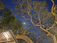 -网红落日悬崖餐厅 The Sky Gallery
