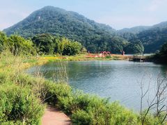 -广州市石门国家森林公园