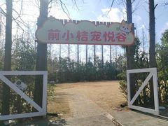 -前小桔亲子创意农场·草莓采摘·露营烧烤