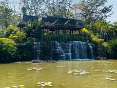 -中国科学院西双版纳热带植物园