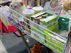 -吴山路夜市