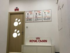 -创凡宠物医院·骨专科  猫科中心(西乡分院)