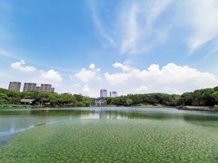 -新洲生态园