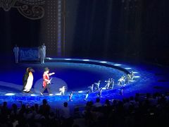 -珠海横琴长隆《卡卡虎奇遇记》