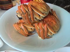 -雀蓝川菜(奥体广场店)