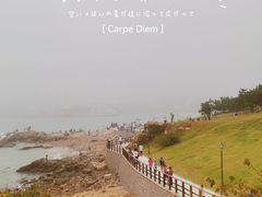 -小麦岛公园